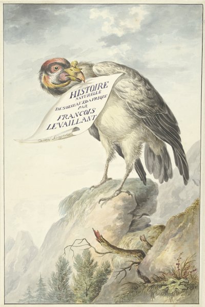 Gagasında bir kağıt yaprağı olan Tepeli Akbaba HISTOIRE NATURELLE DES OISEAUX DAFRIQUE (nesne üzerindeki başlık) by François Levaillant (circle of)