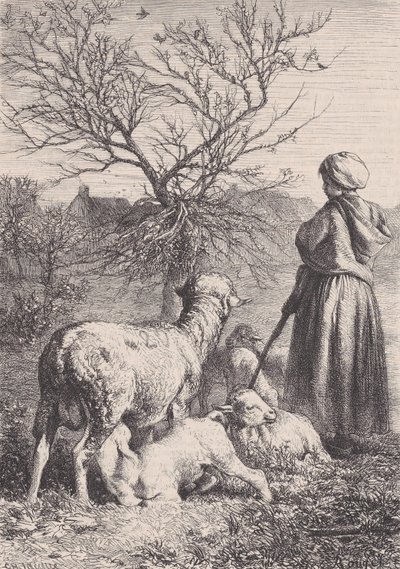 Bir Çoban, ca. 1852. by François Rouget