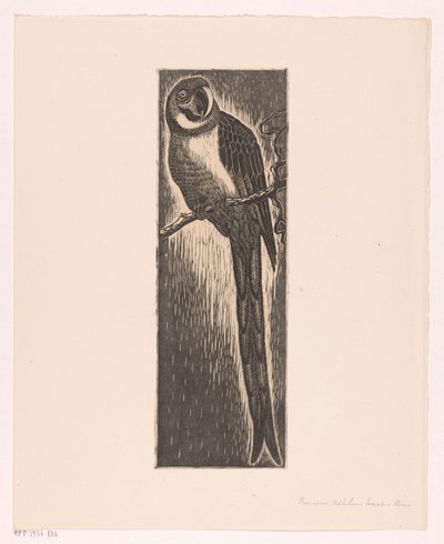 Dalda oturan papağan (nesnedeki orijinal başlık) by Frans Bosen