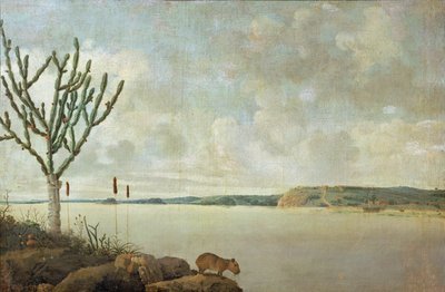  by Frans Jansz Post