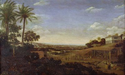 Bilinmeyen resim by Frans Post