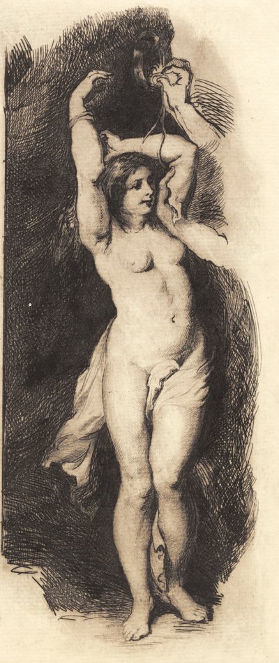 Andromeda, Rubens