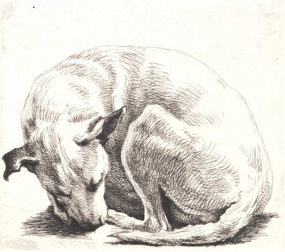 Örnek plaka: Bir köpek by Frans Schwartz