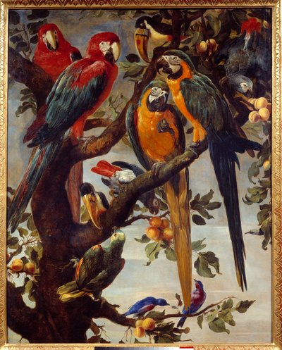 Papağanlar ve diğer kuşlar Boyama Frans Snyders (1579-1657) 17. yüzyıl Güneş. 1,22x0,98 m Grenoble, Musee des Beaux Arts by Frans Snyders