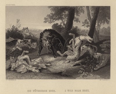 Yaban Domuzu Avı by Frans Snyders or Snijders