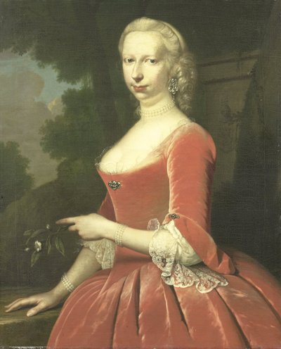 Bir Kadın Portresi by Frans van der Mijn