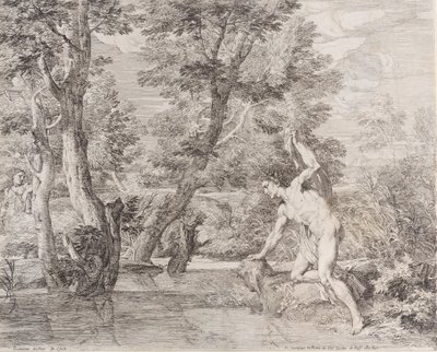 Narcissus ve Echo, 17. yüzyıl. by Frans van der Neve