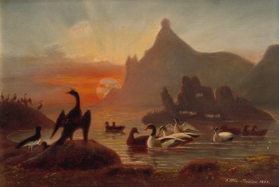 Kuşlar Hestmandoe duyar by Frants Diderik Boe