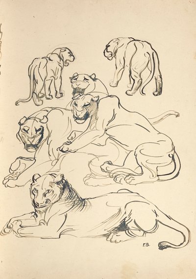altı puma by Franz Barwig d. Ä.