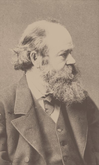 Besteci Robert von Hornstein
