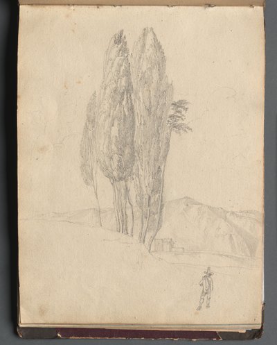 Roma ve Çevresi Manzaralı Albüm, Peyzaj Çalışmaları, sayfa 20a: Ağaçlar by Franz Johann Heinrich Nadorp