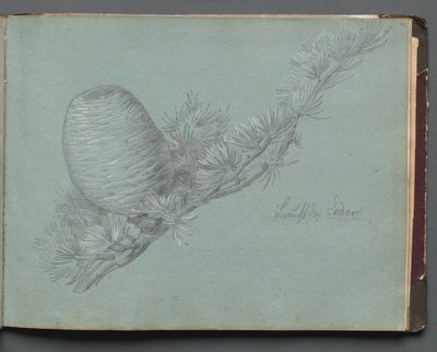 Roma ve Çevresi Manzaralı Albüm, Peyzaj Çalışmaları, sayfa 49a: Bir Dökmeyen Yeşilin Çalışması.... by Franz Johann Heinrich Nadorp