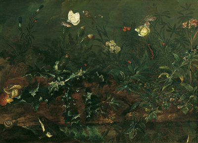 Devedikeni, kurbağa ve yusufçuk ile çim parçası by Franz Michael Siegmund von Purgau d. Ä.