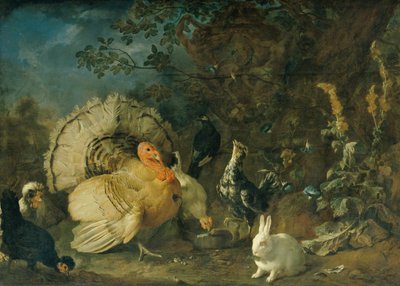 evcil kümes hayvanları ve tavşanlar by Franz Werner Tamm