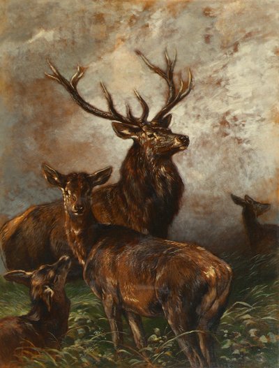  by Franz Xaver von Pausinger