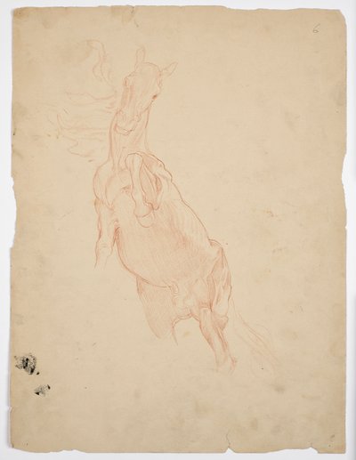 Yetiştirme atı çalışmaları by Franz von Matsch
