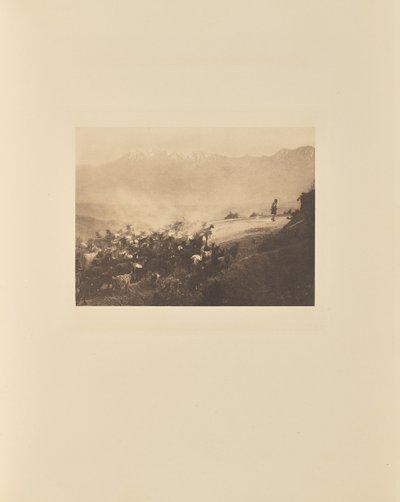  by Frédéric Boissonnas