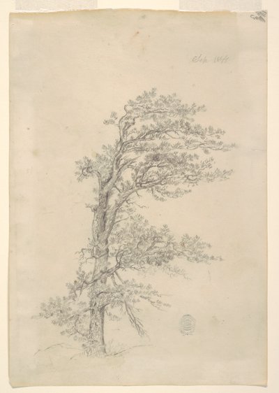 Bir Adım Çam by Frederic Edwin Church