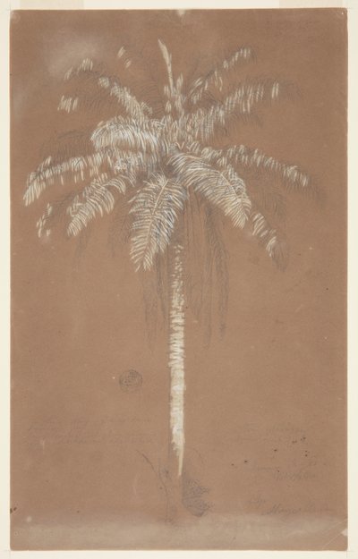 Hadi ama. sulus, jamaika by Frederic Edwin Church