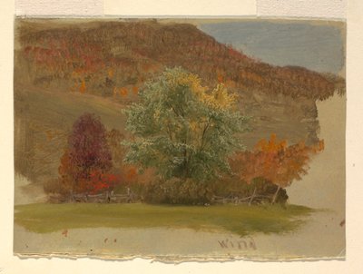 Sonbahar Manzarası by Frederic Edwin Church