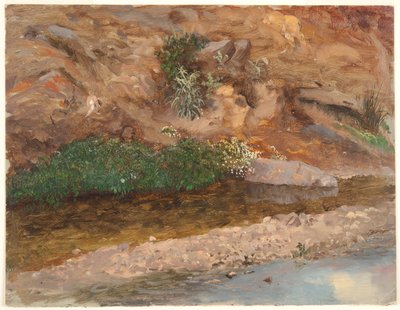 Bir Akışın Bankası by Frederic Edwin Church