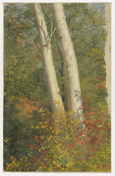  by Frederic Edwin Church
