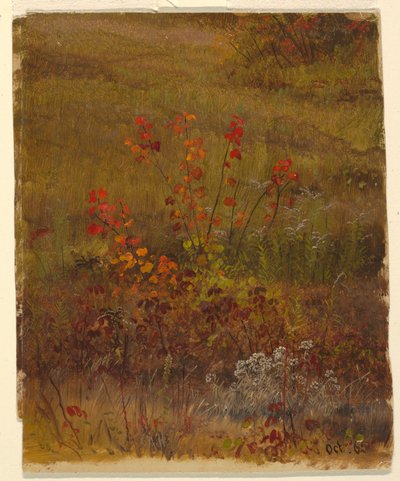 Botanik Çalışmaları by Frederic Edwin Church