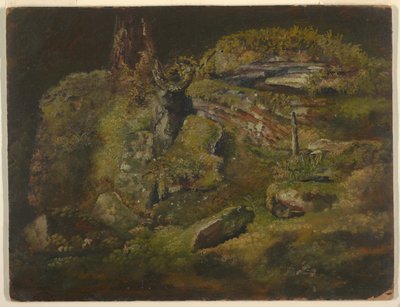 Ormandaki Kaya by Frederic Edwin Church