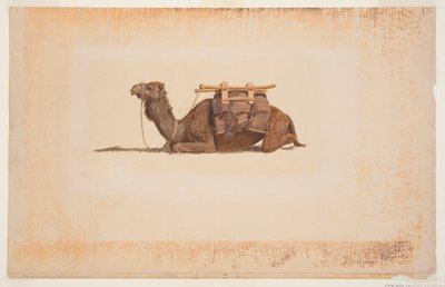çömelmiş dromedary by Frederic Edwin Church