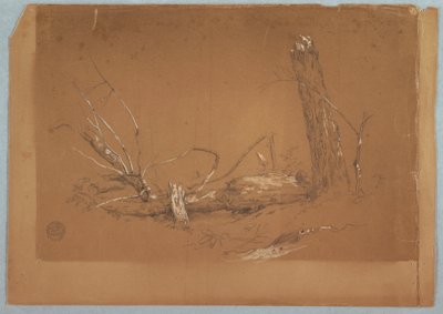Çizim, Kırık bir ölü ağaç, 1855-65 by Frederic Edwin Church