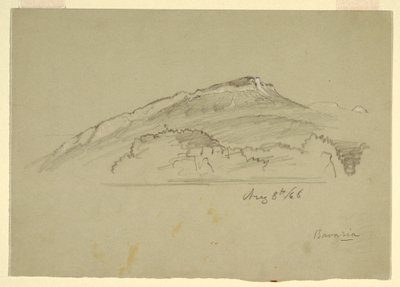 Çizim, Bir Ağaç, Bavyera, 8 Ağustos 1868 by Frederic Edwin Church