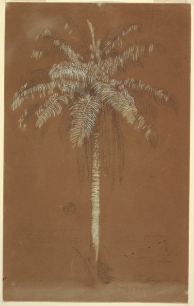  by Frederic Edwin Church