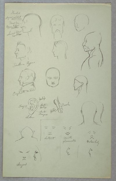 Çizim, Anatomik Çalışmalar, 1865-70 by Frederic Edwin Church