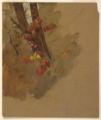 Çizim, Botanik Çalışmaları, 1860-70 by Frederic Edwin Church