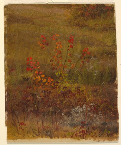Çizim, Botanik Çalışmaları, Ekim 1865 by Frederic Edwin Church