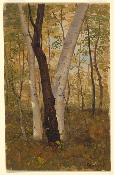  by Frederic Edwin Church
