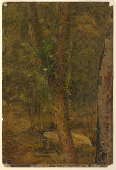  by Frederic Edwin Church