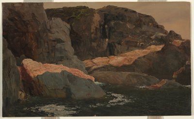 Çizim, Laborador, Büyük Ada, Savaş Limanı, 1859 by Frederic Edwin Church