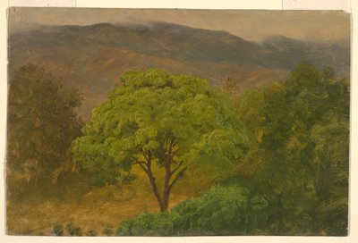  by Frederic Edwin Church