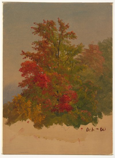  by Frederic Edwin Church