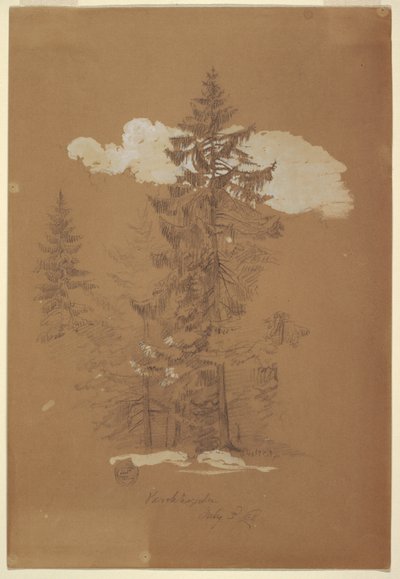 Çizim, Ağaçlar, Berchtesgaden, Bavyera, 3 Temmuz 1868 by Frederic Edwin Church