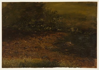 Çizim, Catskills