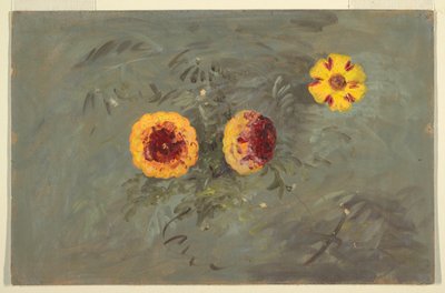  by Frederic Edwin Church