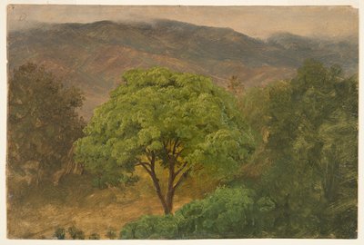 Dağlarda Genip Ağacı, Jamaika by Frederic Edwin Church