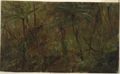 Ormanda, Jamaika by Frederic Edwin Church