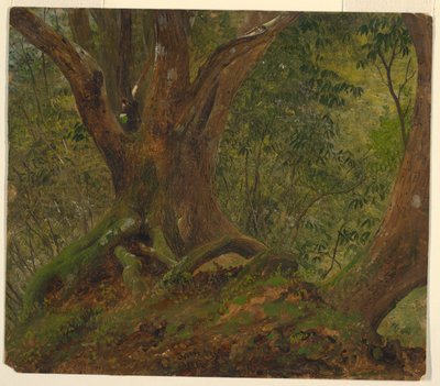 Ormanda, Jamaika by Frederic Edwin Church