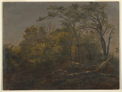 Maine Ormanı by Frederic Edwin Church