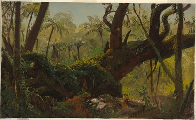 Yağmur Ormanı, Jamaika by Frederic Edwin Church