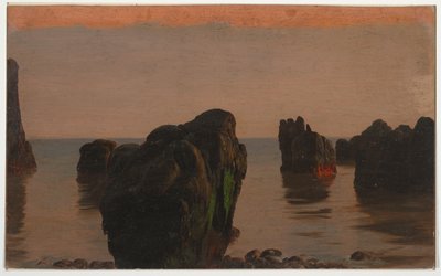 Grand Manan Kapalı Kayalar ve Yosun by Frederic Edwin Church