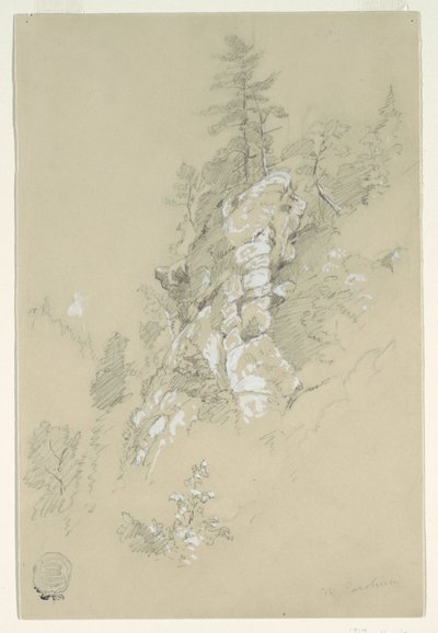 Rocky Hillside, Kuzey Karolina by Frederic Edwin Church